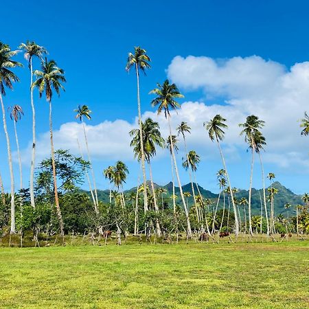 Huahine Serenity Cottage Maroe Bagian luar foto