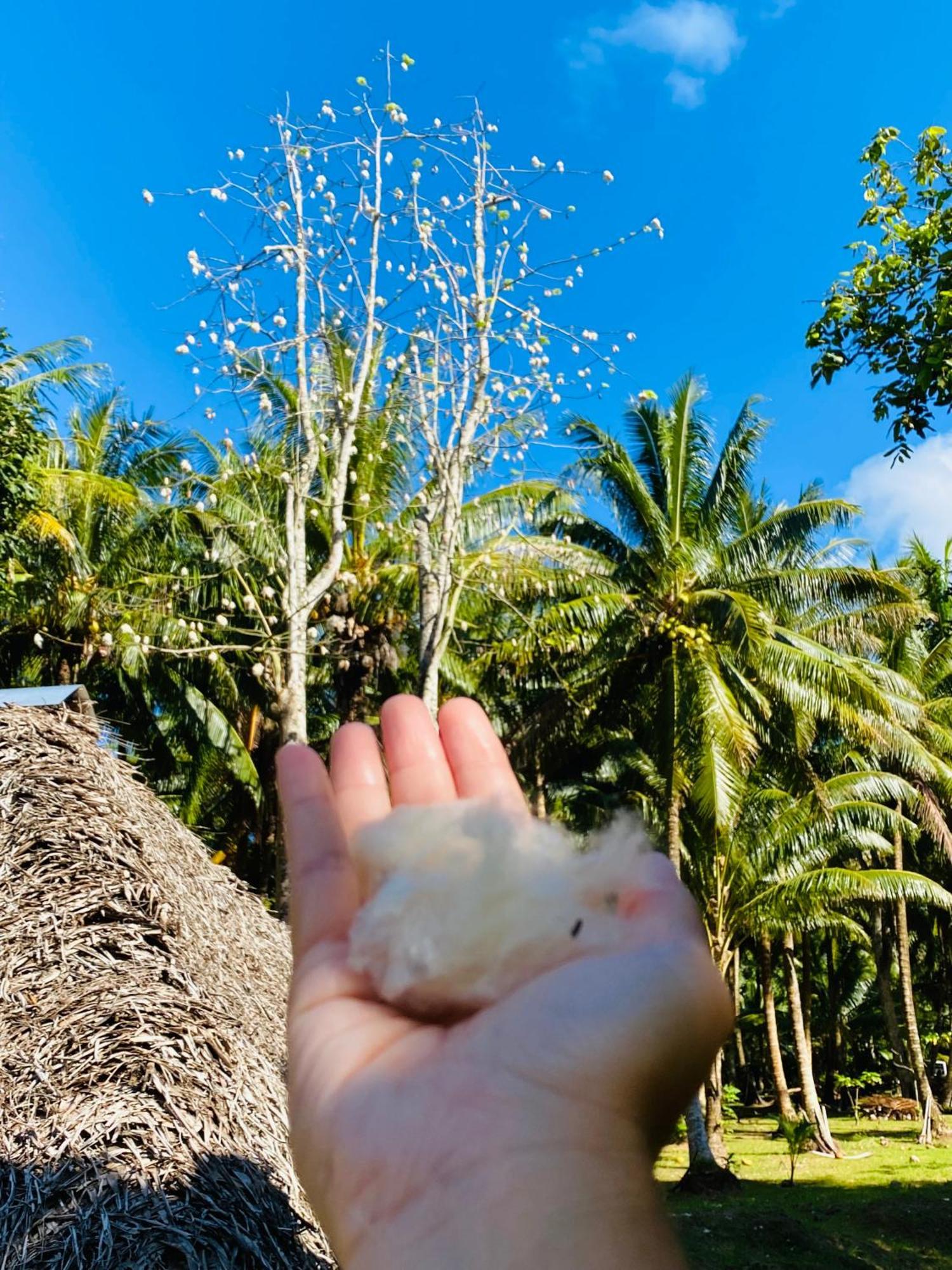 Huahine Serenity Cottage Maroe Bagian luar foto